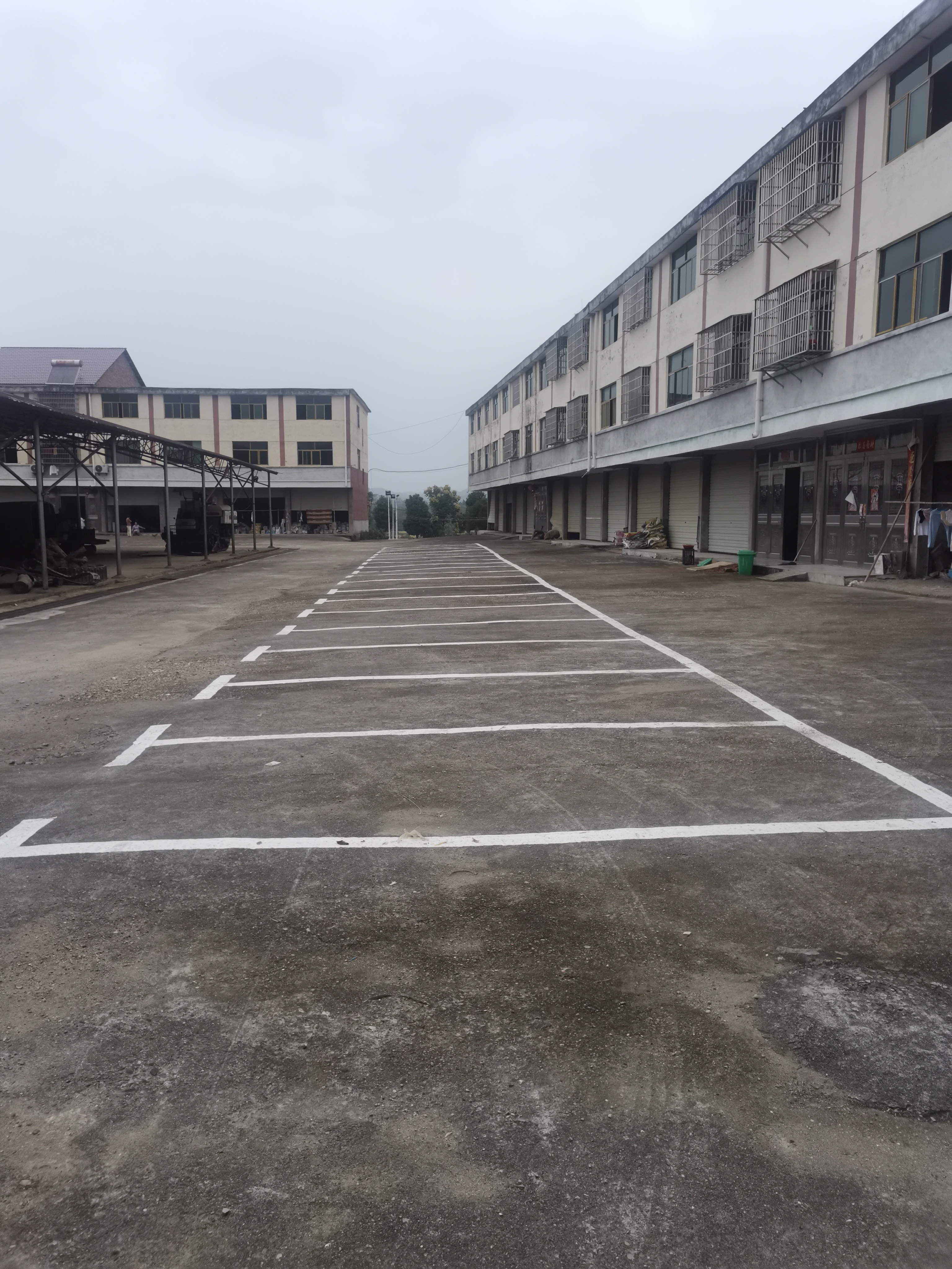 《我为群众办实事》——背街小巷画出文明“风景线”