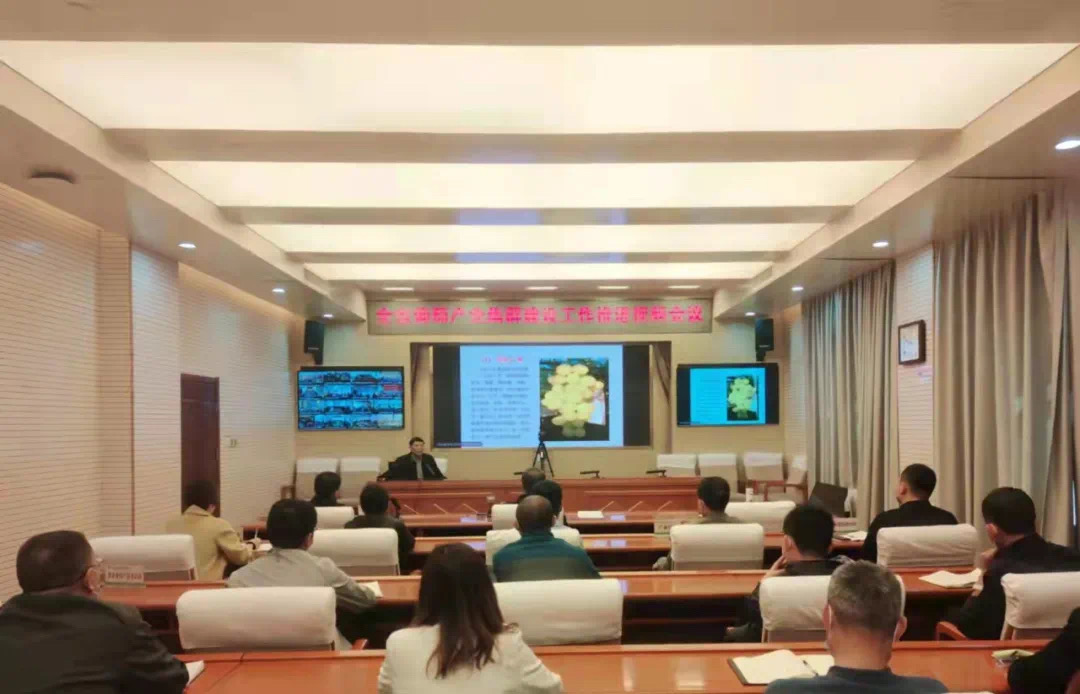 【产业集群】河北省召开葡萄产业集群建设工作推进视频会议