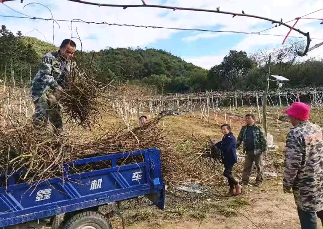 “党员联糸群众”进行时