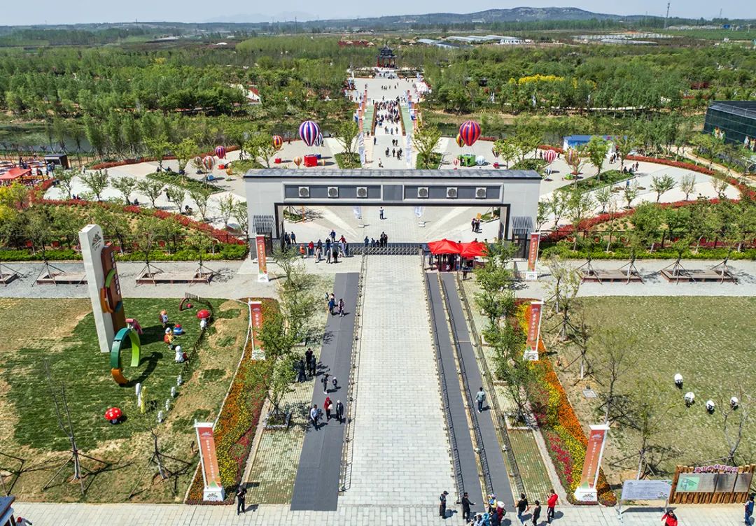 青岛西海岸新区大村镇：最美人间四月天，牡丹花开待君来