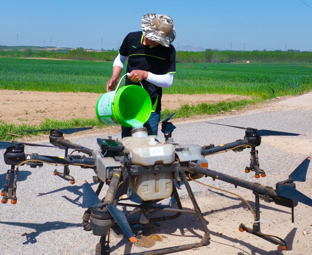 青岛西海岸新区大村镇打好春管组合拳确保夏粮生产丰收