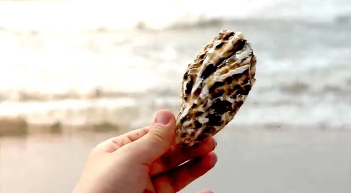 歌曲《中国新色彩》诞生的意义