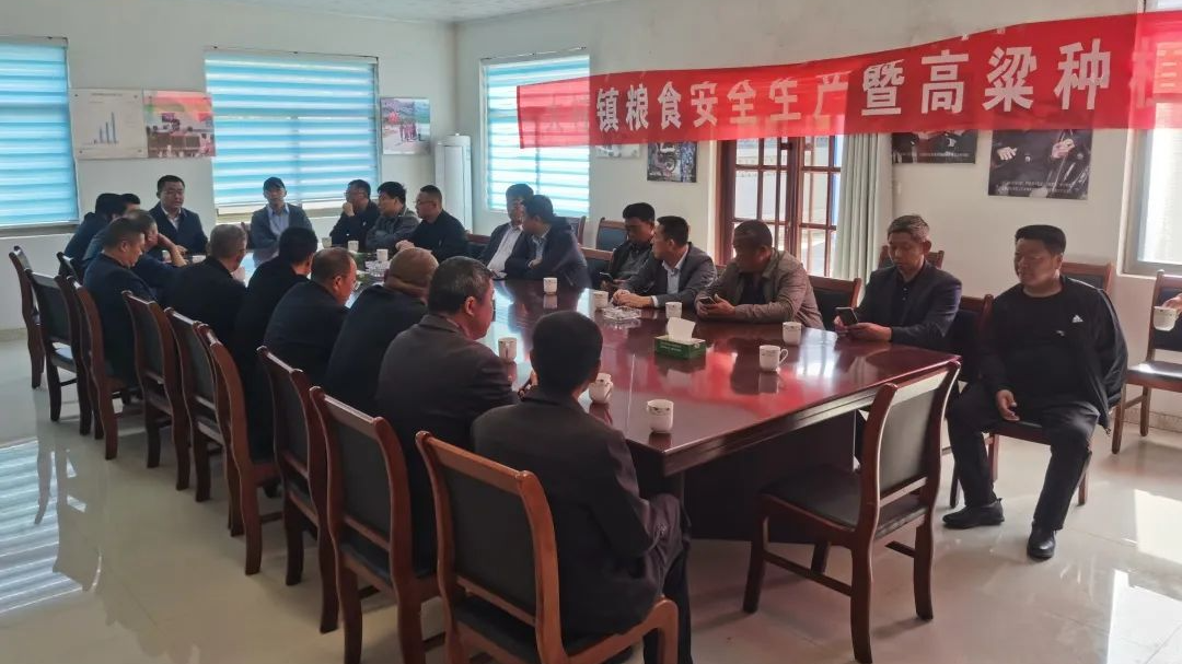 青岛市黄岛区大村镇召开粮食安全生产暨高粱种植现场会