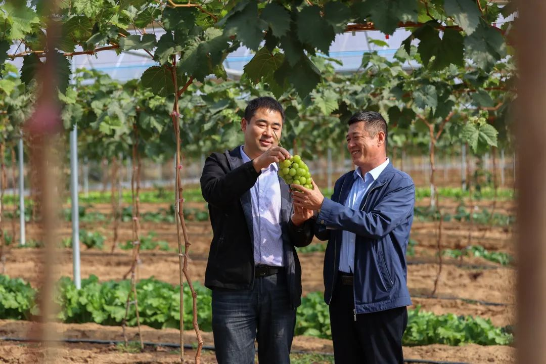 青岛西海岸张家楼街道草泊河村第一书记胡文东：凝心聚力促帮扶，真抓实干助振兴