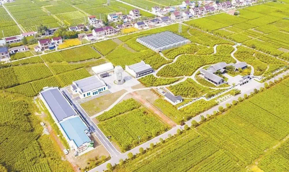 盐城市4个老地名入选江苏首批省级地名文化遗产