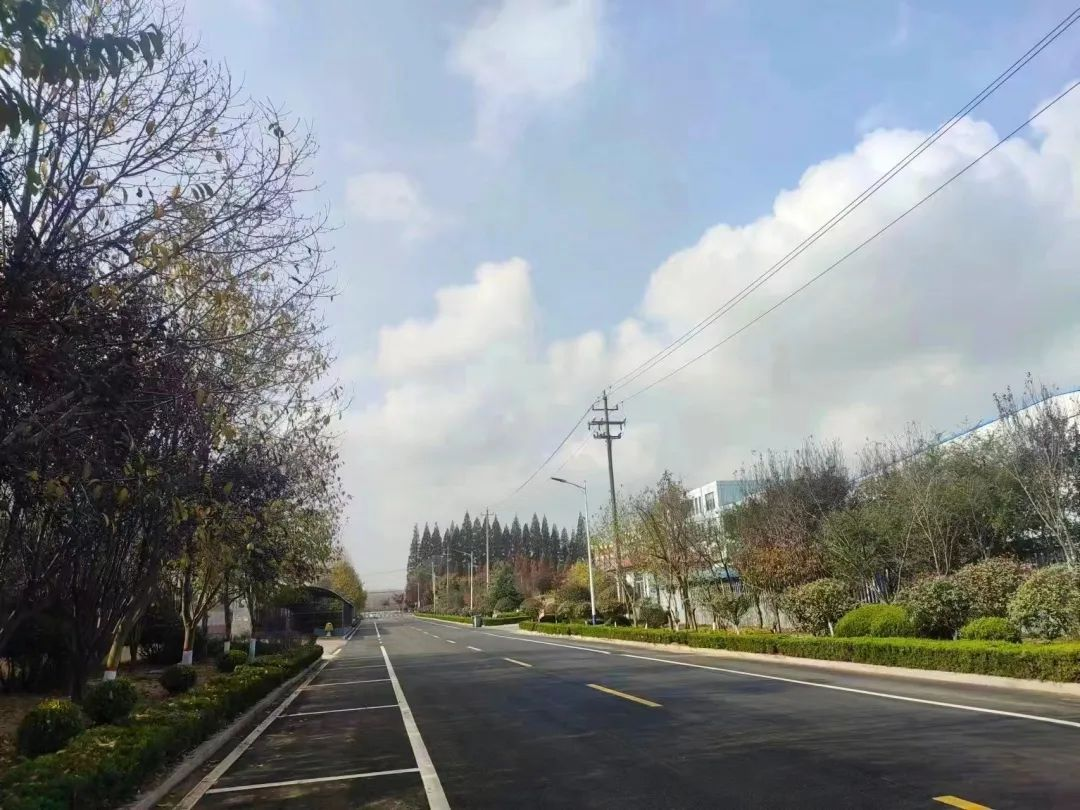 青岛西海岸新区大村镇多措并举推进空中缆线整治