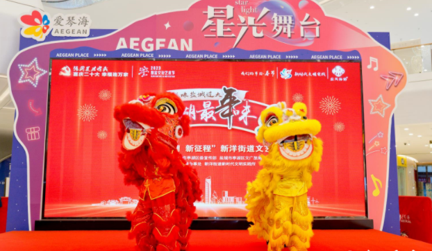 江苏亭湖新洋街道：文艺汇演助力党员冬训