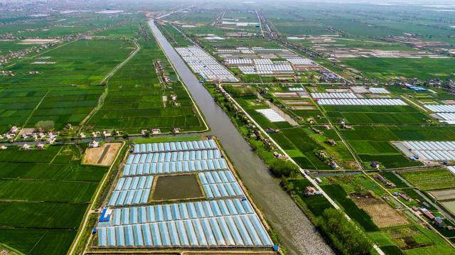 江苏射阳合德镇：创新驱动激活高质量发展动能