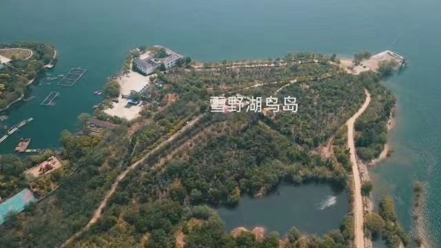 雪野湖鸟岛：联合经营拓展文旅旅游新热点