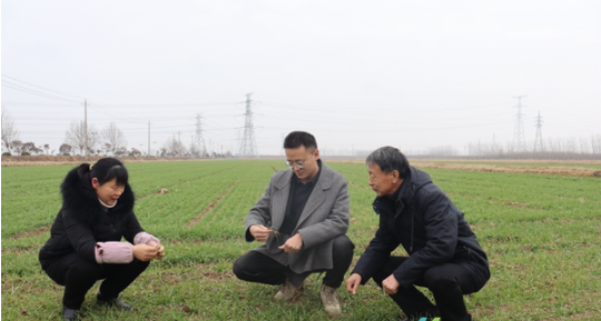 江苏射阳黄沙港镇：强化纪委监督 护航春耕生产