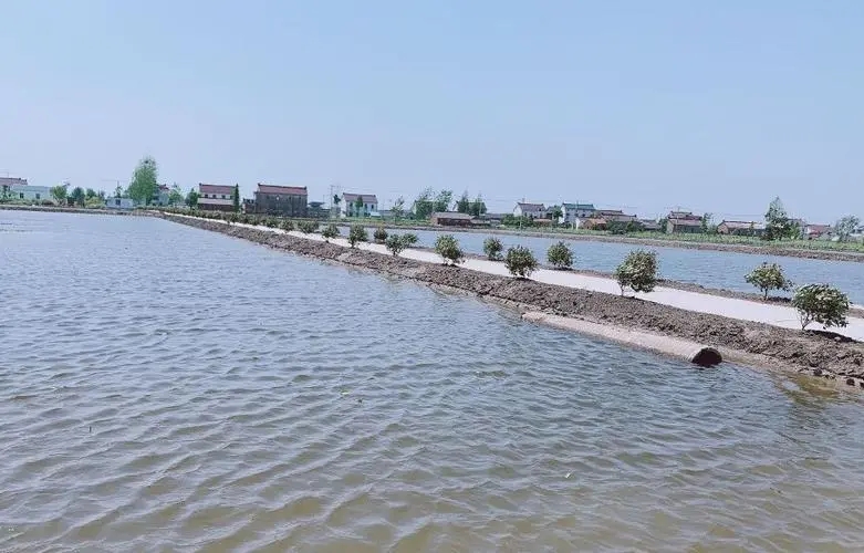 江苏东台梁垛镇：生态文明建设成绩斐然