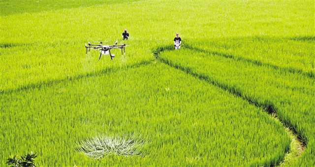 盐城大丰草庙镇：瞄准绿色低碳加速转型发展