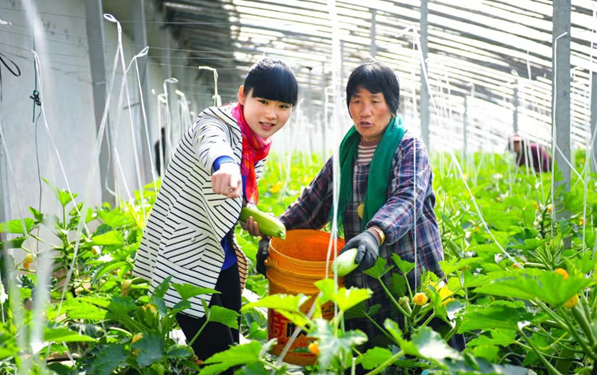 盐城射阳合德镇友爱村：全力奏响春耕春种协作曲