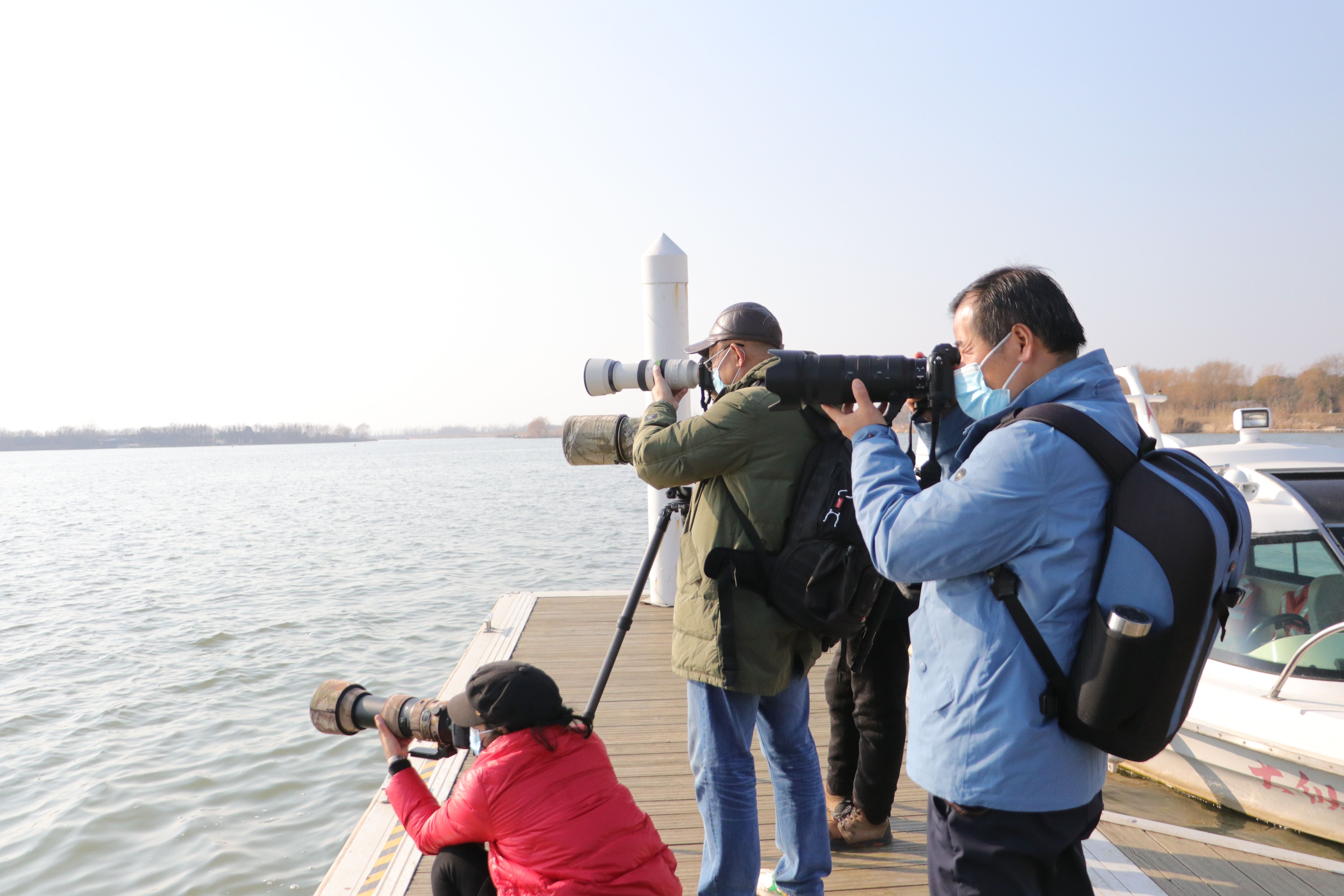 盐城盐都：大纵湖湿地公园观鸟季游客多