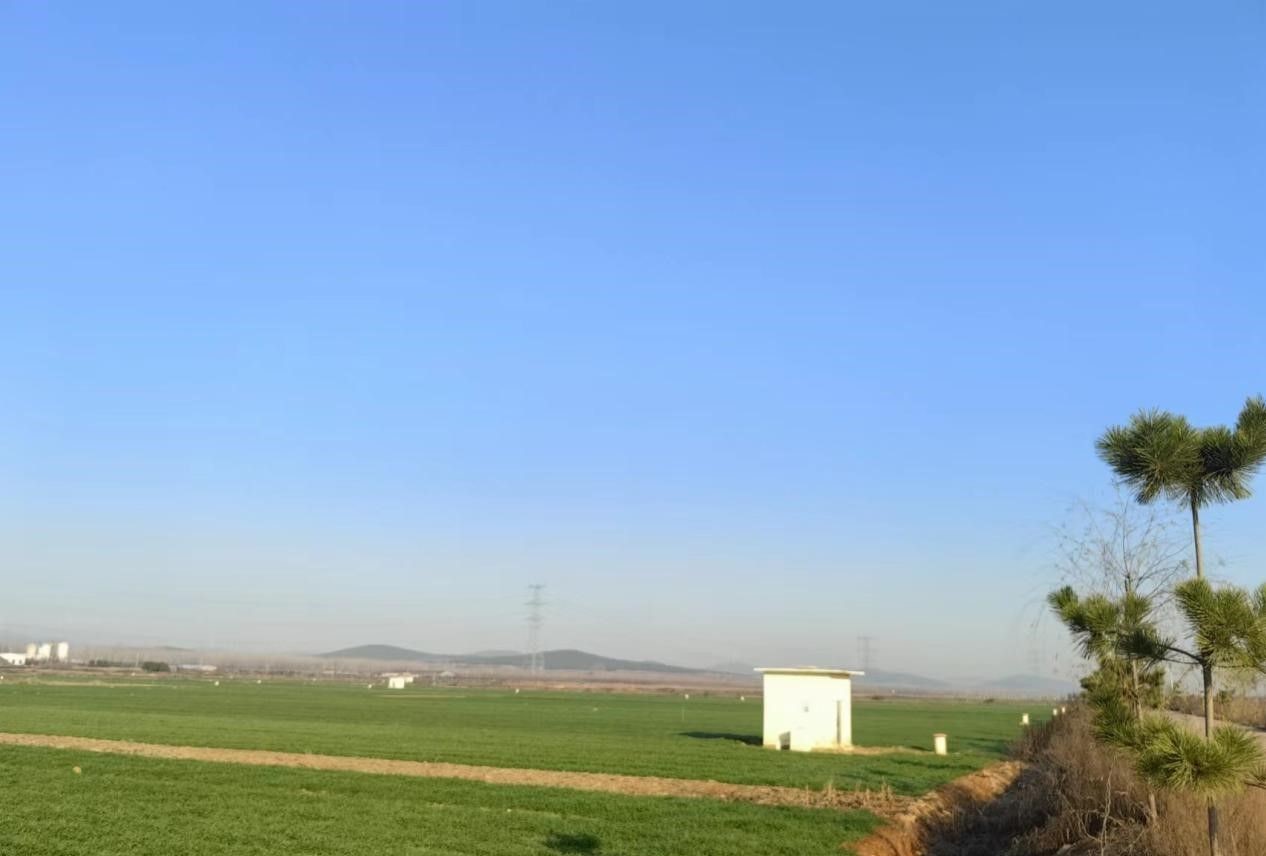 山东省兰陵县矿坑镇：天然富硒资源撑起乡村振兴新“硒”望