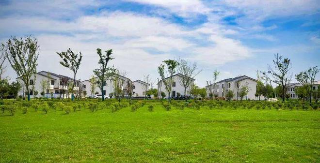 江苏射阳县洋马镇新时代文明实践惠泽千家万户