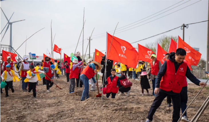 盐城大丰：百名志愿者植树节种下1200多棵杨树苗