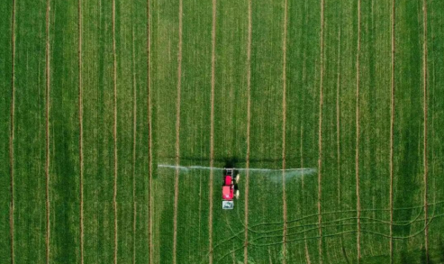 盐城亭湖：小田变大田，沃野新事多