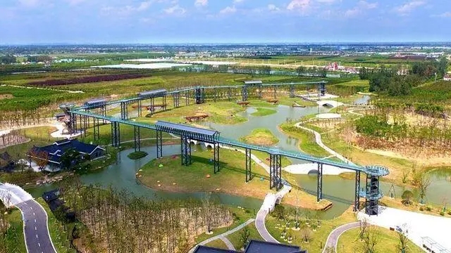 “生态绿”绘就美丽盐城大丰新画卷