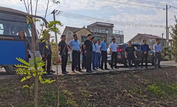 盐城阜宁芦蒲镇：打响镇村环境“三乱”整治大会战