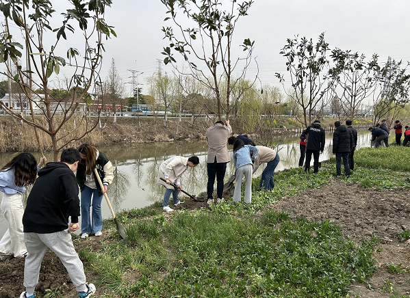 盐城亭湖新兴镇开展义务植树活动