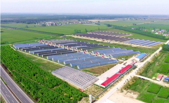 江苏盐城大丰区草庙镇：做好“三篇文章” 赋能乡村振兴