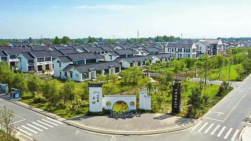 盐城射阳县特庸镇王村村：“党建+”助力乡村振兴“加速跑”