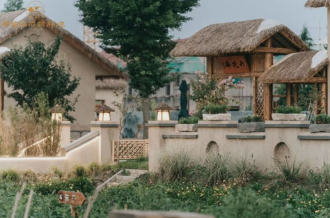 江苏盐城亭湖区黄尖镇：凝心聚力建设国际湿地旅游首选目的地