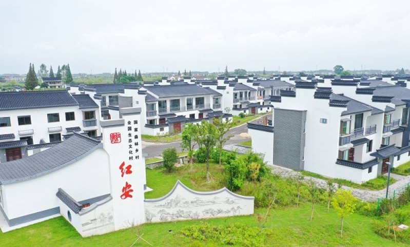 江苏盐城东台：精准监督合作社 铺设乡村共富路