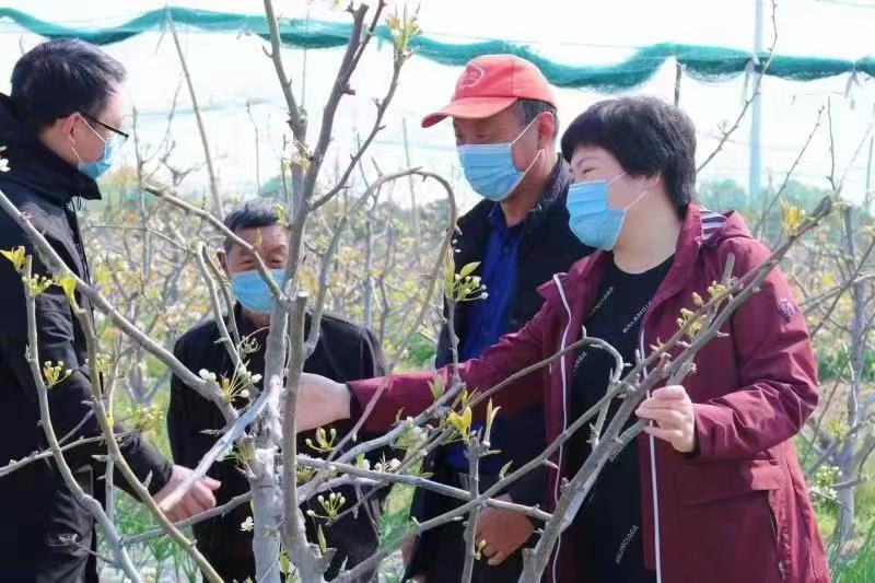 盐城市大丰区大中街道为推进乡村振兴提供坚强组织保障