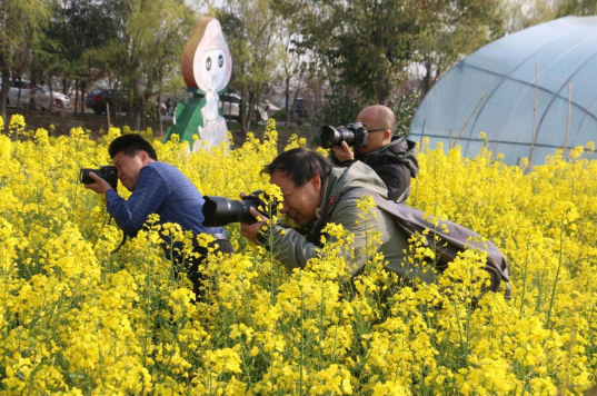 江苏东台市摄影家协会组织开展乡村振兴采风活动