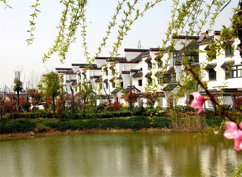 江苏盐城大丰区狮子口村：“红色印记”点亮乡村振兴之路