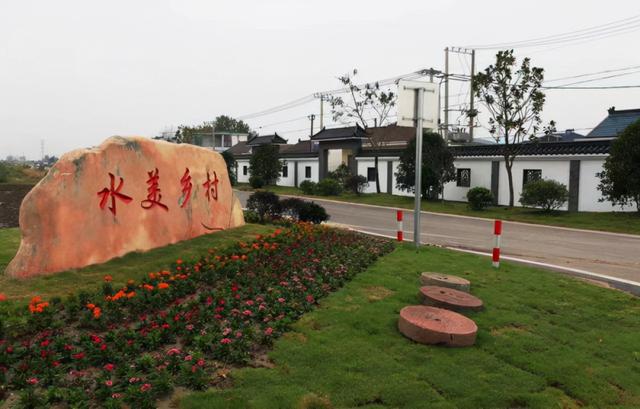 江苏盐城大丰区：特色田园乡村建设赋能乡村振兴