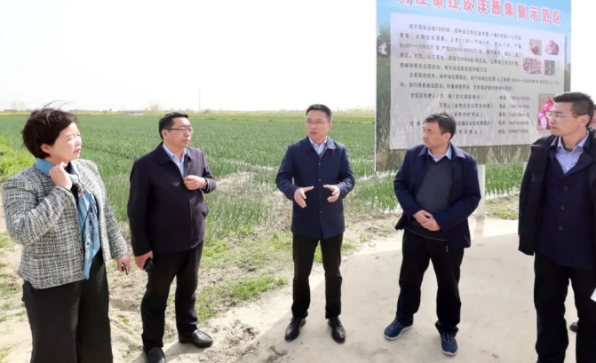 大丰区委书记李志军调研时强调：推动农业农村现代化建设迈出新步伐 让更多群众共享乡村振兴发展“红利”