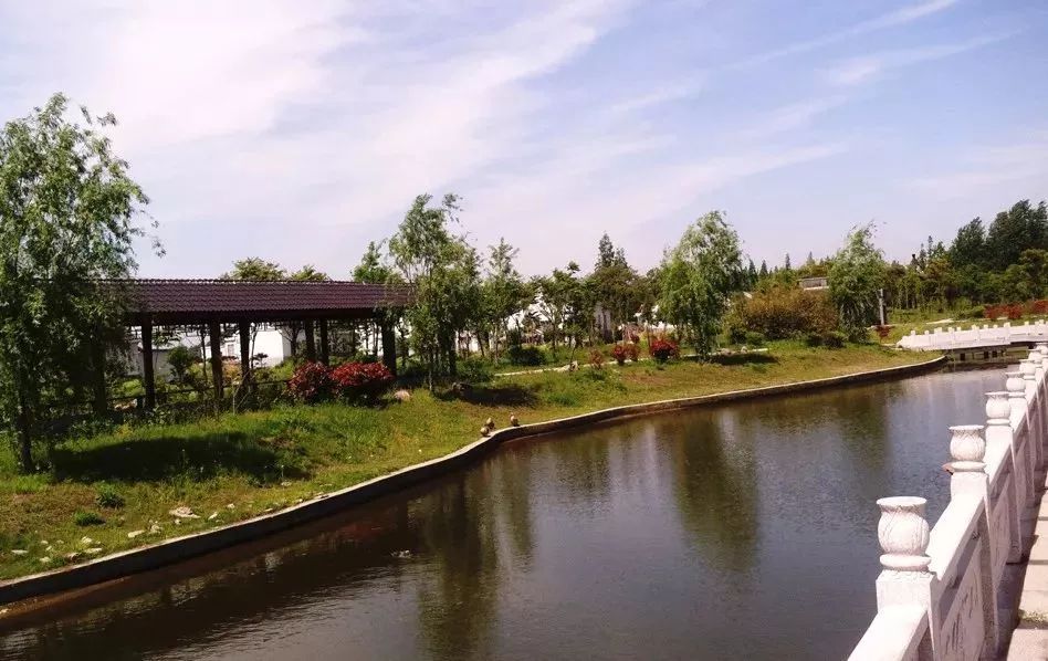 江苏盐城盐南高新区科城街道长效推进河道生态治理工作