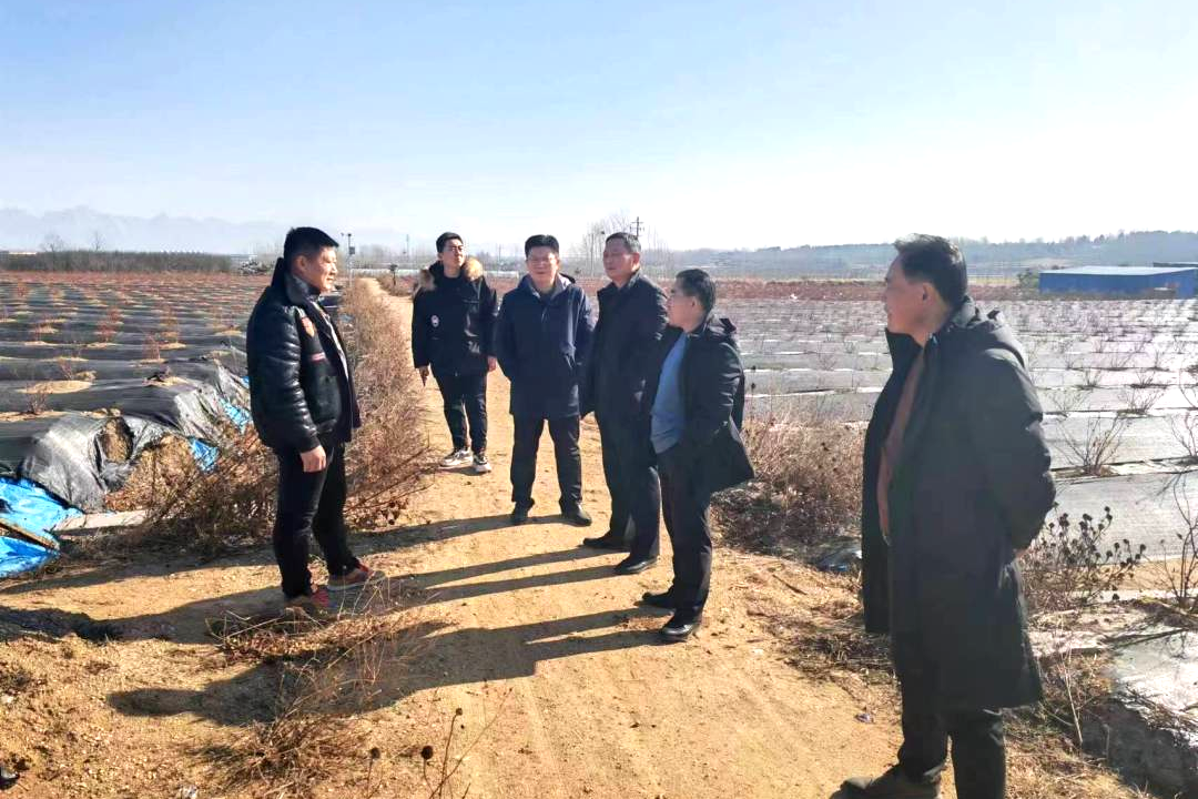 青岛西海岸张家楼自然资源所：“四项聚焦”，夯实乡村振兴要素支撑