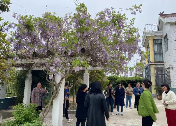 江苏盐城亭湖区盐东镇广大妇女在绿色低碳发中发挥“半边天”作用