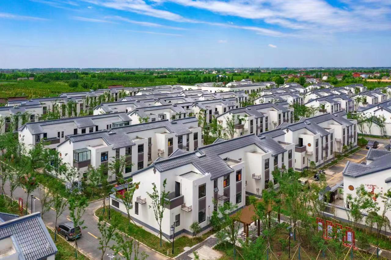 江苏盐城大丰区南阳镇诚心村：生态宜居焕发乡村新活力