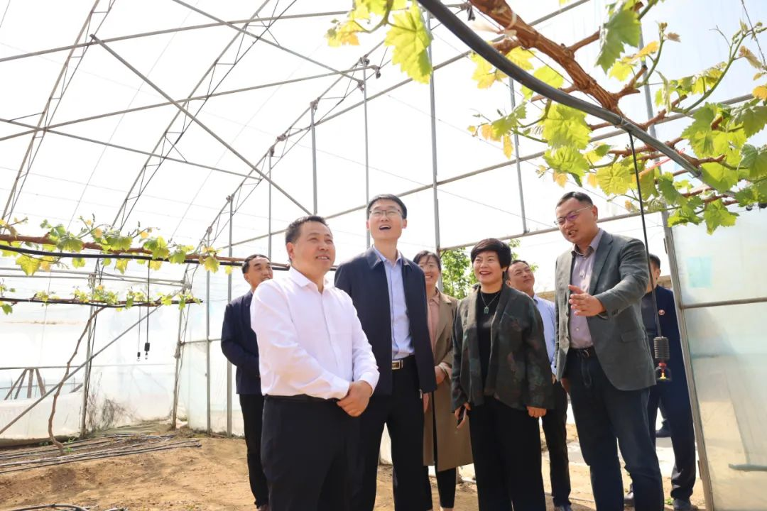 青岛西海岸新区滨海街道：加强东西协作，共促经济发展