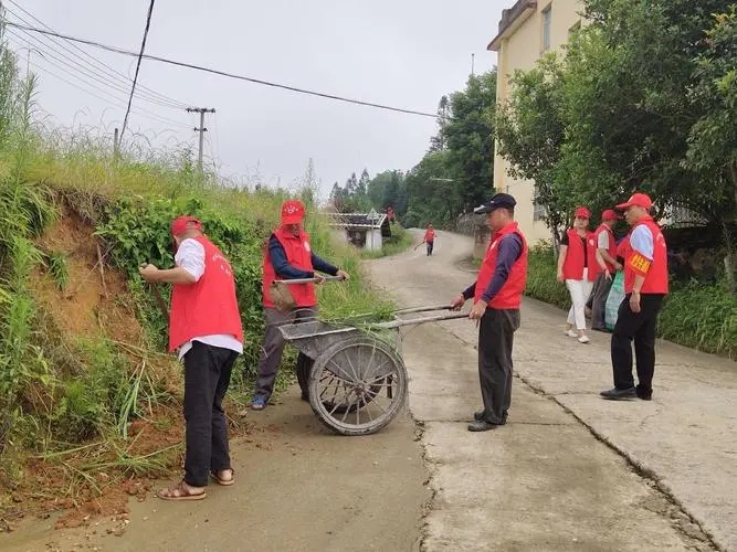 江苏盐城射阳：开展“打造美丽乡村 助力乡村振兴”志愿服务活动