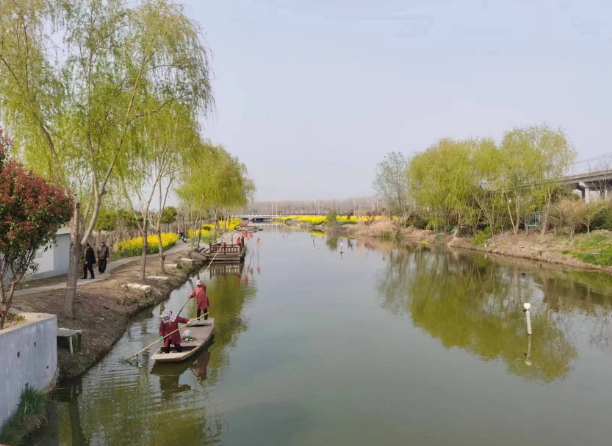 江苏盐城亭湖新兴镇：党建引领水环境提速升级 绘就乡村振兴美丽画卷