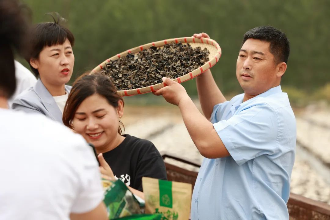青岛西海岸大村镇王本顺：“木耳书记”解锁直播带货，点燃乡村振兴之“火”