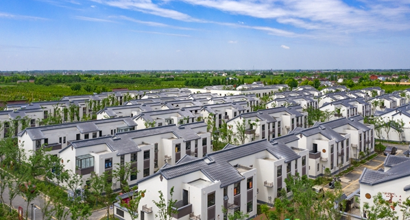 江苏盐城大丰区南阳镇：持续发力 打好环境保护“组合拳”