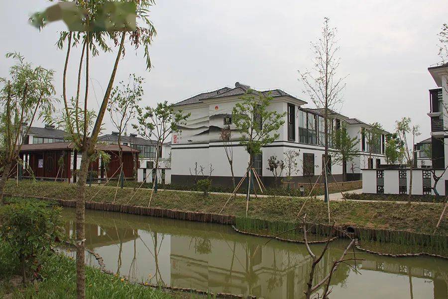 江苏盐城大丰：农房改善绘就和美乡村建设新图景