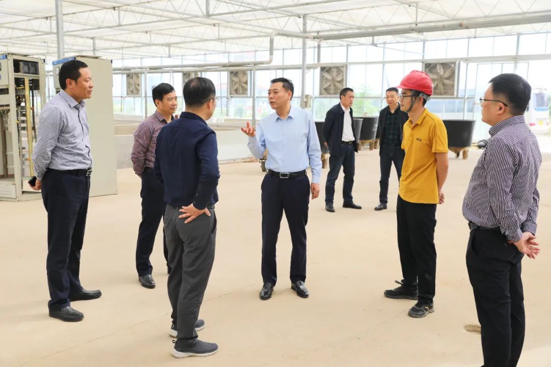 江苏银宝集团召开农业现代化示范园区建设现场推进会