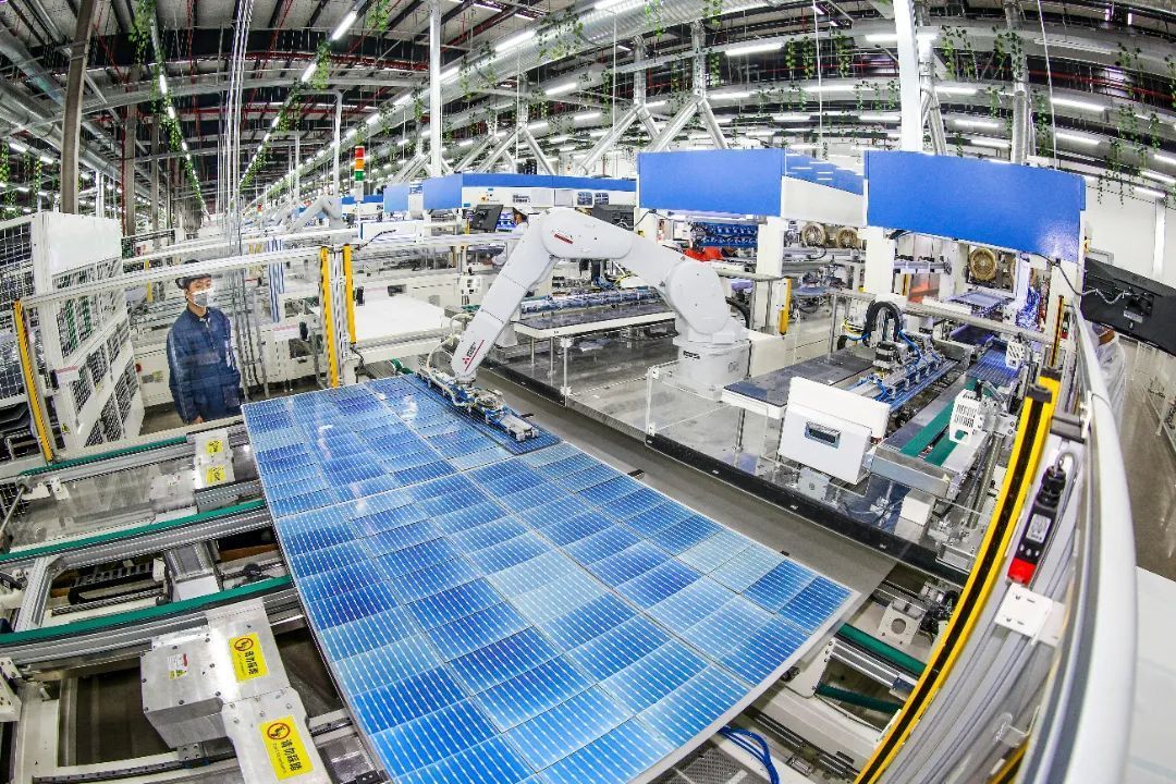 江苏盐城大丰区：向“绿”而行“碳”新路