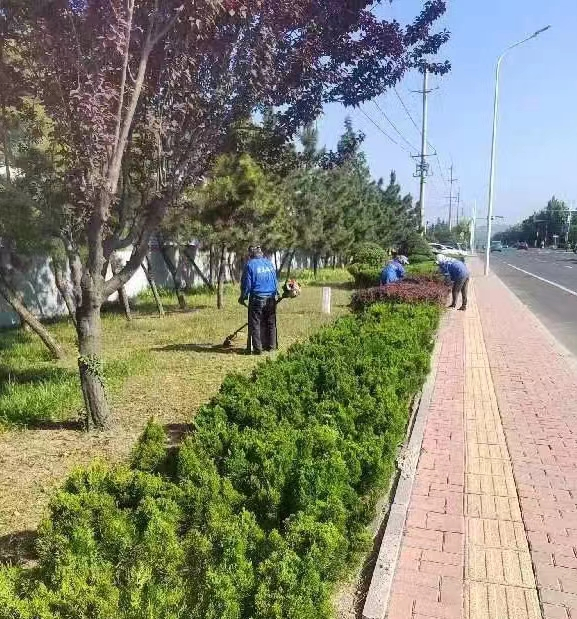 青岛西海岸新区铁山街道扎实推进城市道路品质提升行动