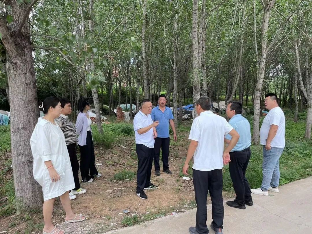 青岛市黄岛区铁山街道发挥人大监督职能，助推人居环境整治