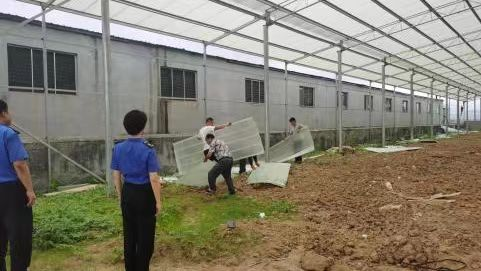 青岛西海岸新区铁山街道“亮剑”拆违治乱