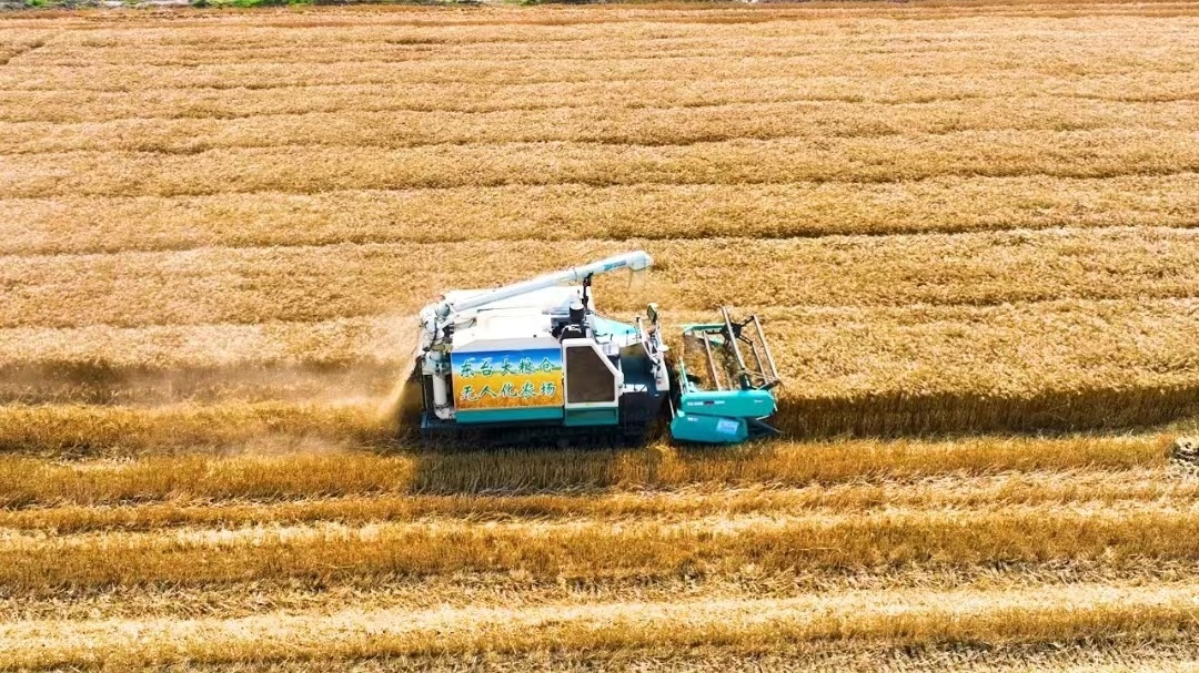 江苏东台南沈灶镇：党建引领多元驱动 探索乡村振兴新路径